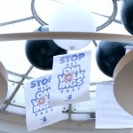 Vlaams Belang Jongeren laten uit protest ballonnen op in parlement: “Stop het omvolkingspact”